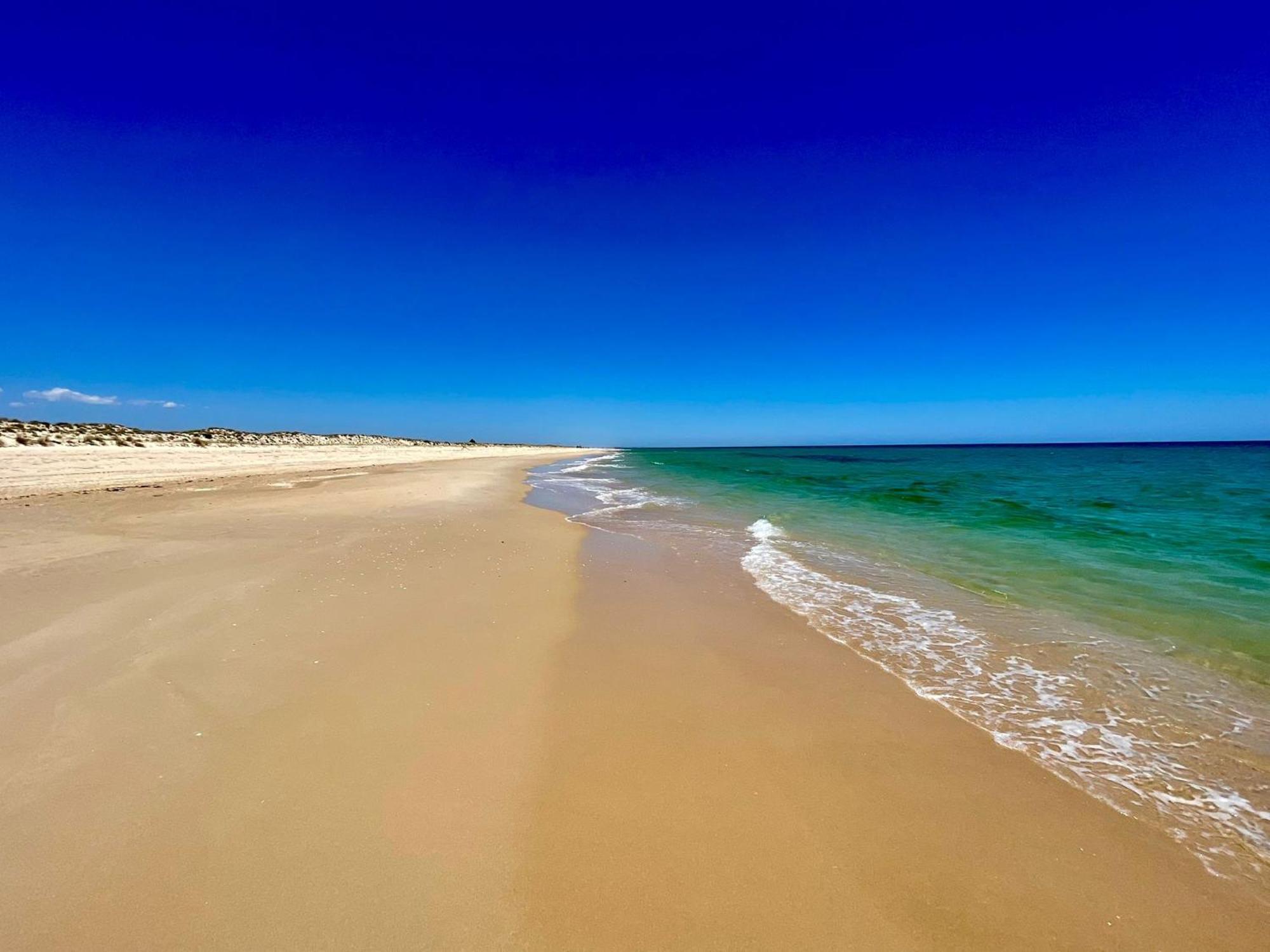 B&B Quinta A Fonte Tavira - Adults Only Ngoại thất bức ảnh